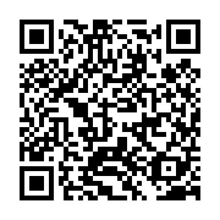 QR code for DVI 409