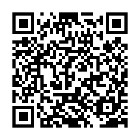 QR code for DVI 495