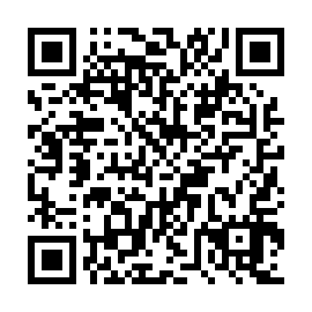 QR code for plate DVJ 017