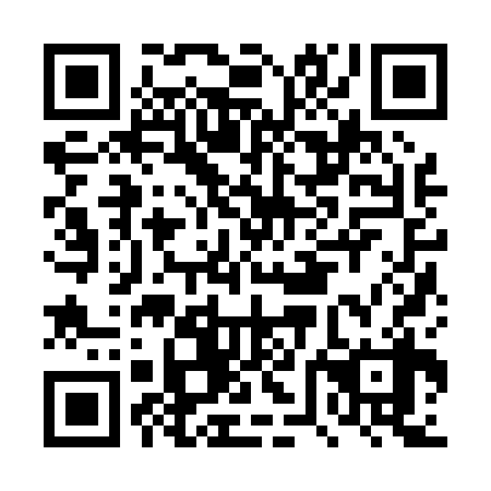 QR code for plate DVJ 038