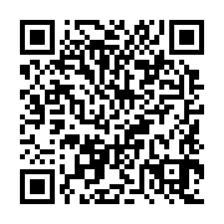 QR code for DVL 383