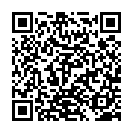 QR code for DVL 541