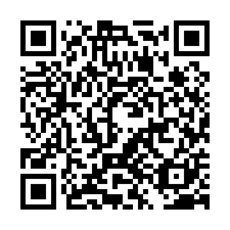 QR code for DVM 101