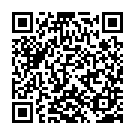QR code for DVM383