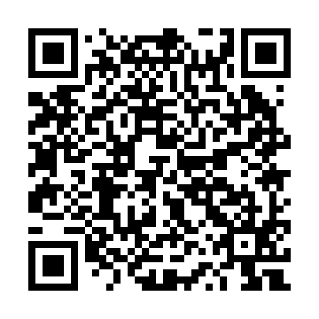 QR code for DVQ 295