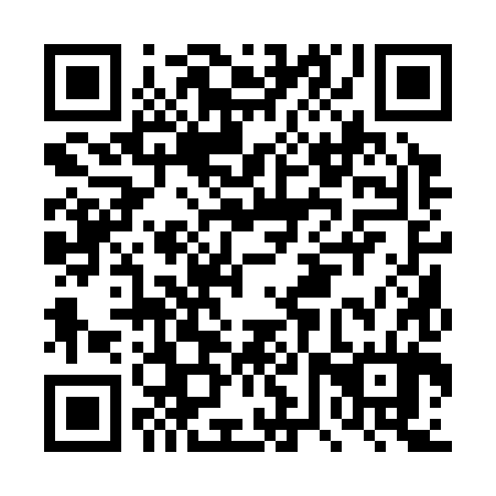 QR code for DVQ 384