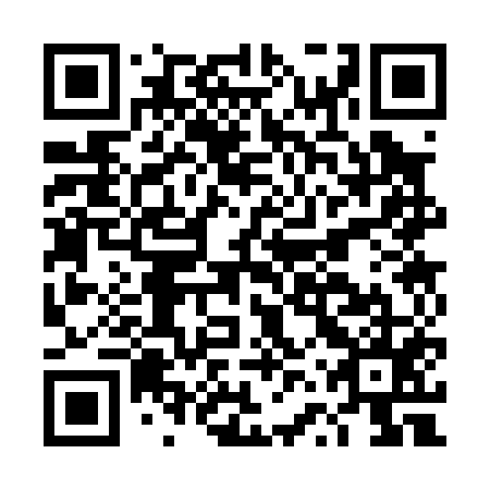 QR code for DVS 055