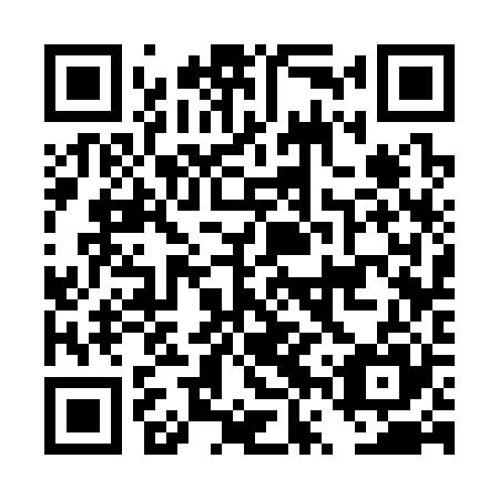 QR code for DVS 325