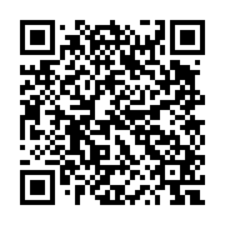 QR code for DVS 441