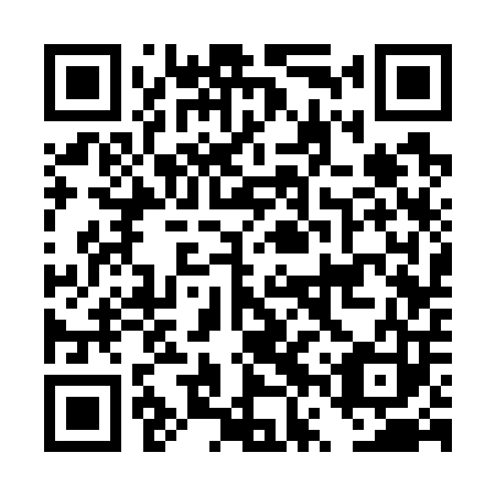QR code for plate DVS 703