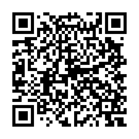 QR code for plate DVU 041