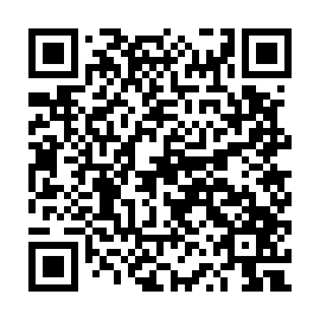QR code for plate DVW 547