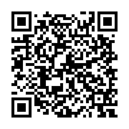 QR code for plate DVZ 594