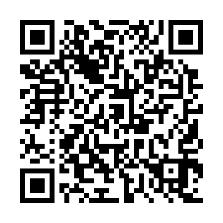 QR code for DW 1313