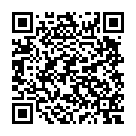 QR code for DW 2411