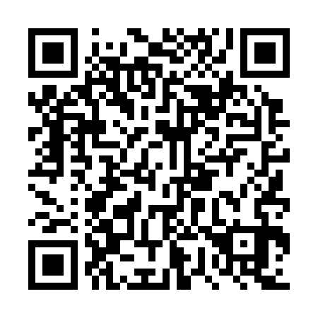QR code for plate DW 4333
