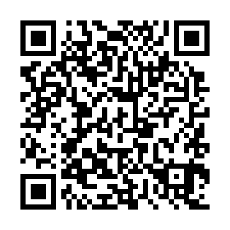 QR code for DW4381