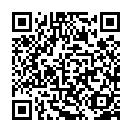 QR code for DW8529
