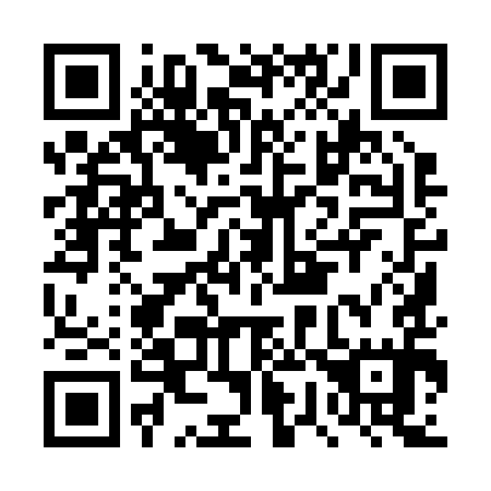 QR code for DW9295