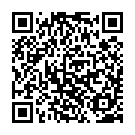QR code for plate DWB 595
