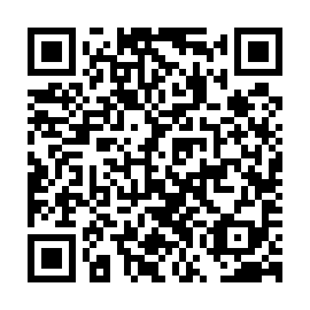 QR code for DWF 599