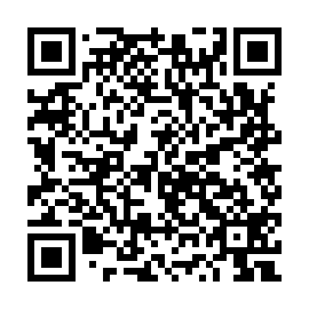 QR code for DWG 919