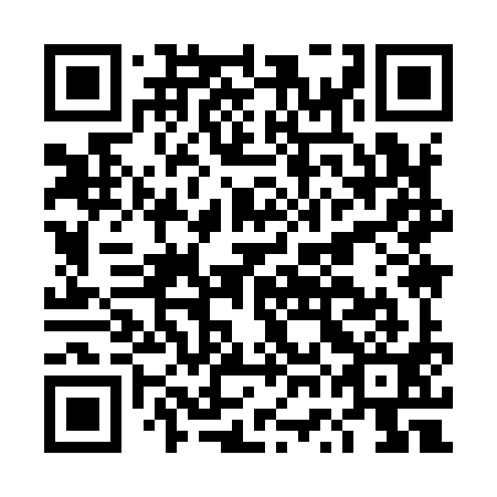 QR code for DWI 991