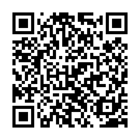 QR code for DWK 411
