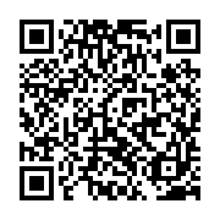 QR code for plate DWK 293