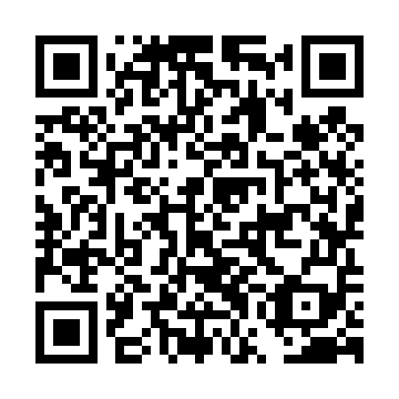 QR code for plate DWK 459
