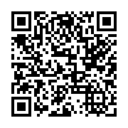 QR code for DWL 384