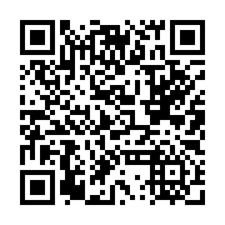 QR code for DWL196