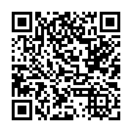QR code for DWN 393