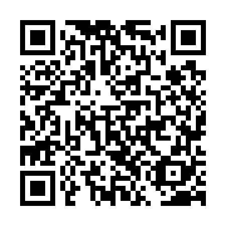 QR code for DWN 768