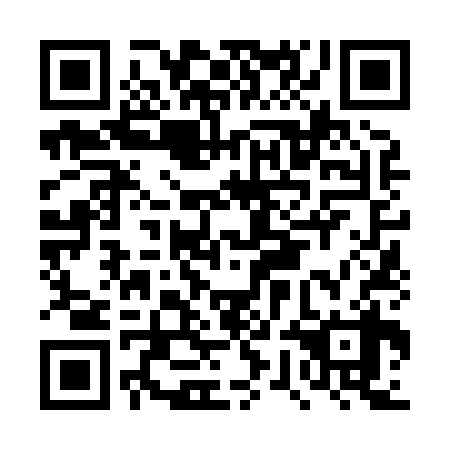 QR code for DWN 838
