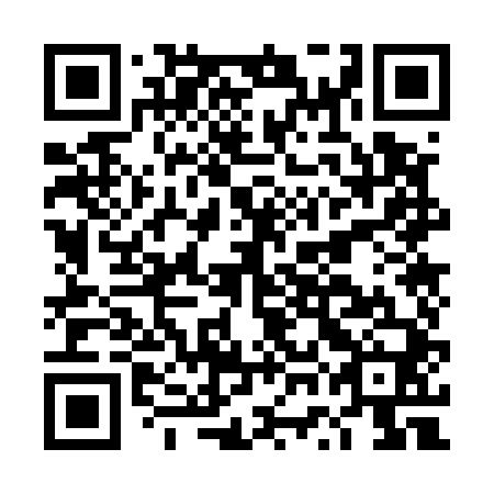 QR code for plate DWO 540