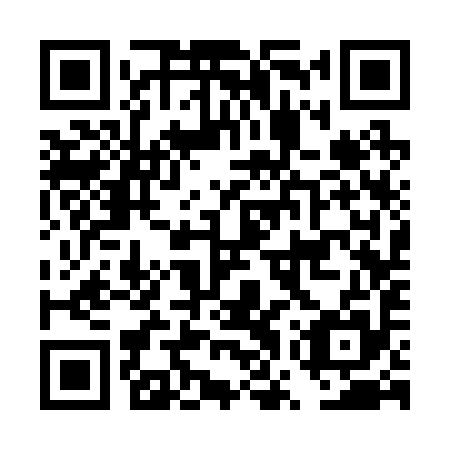 QR code for DWS 295
