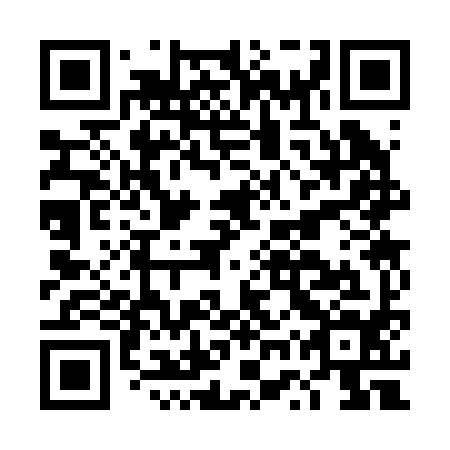 QR code for DWS294