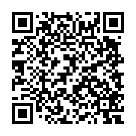 QR code for DWT 409