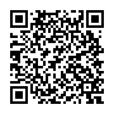 QR code for DWU 313