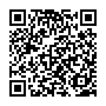 QR code for DWV 291