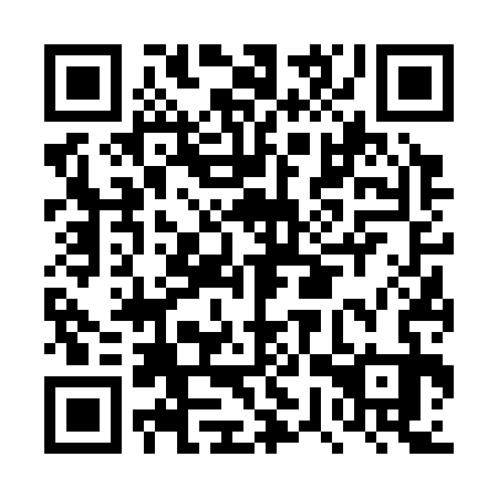 QR code for DWV333