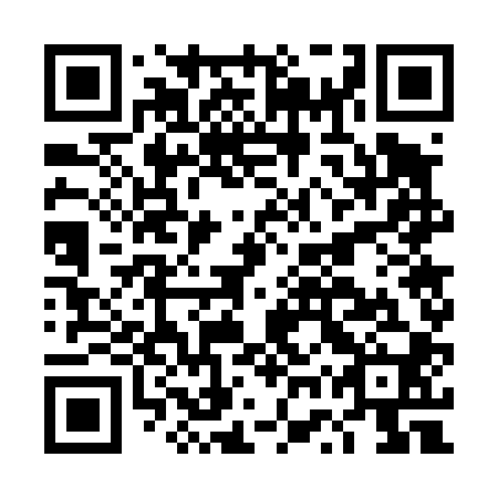 QR code for plate DWW 400
