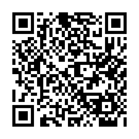 QR code for DX 0387