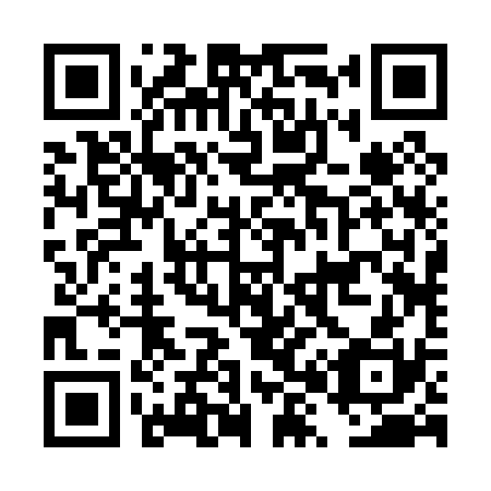 QR code for DX 2030