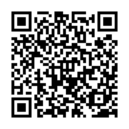 QR code for DX 6541