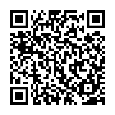 QR code for DX 6594