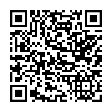 QR code for DX 6687