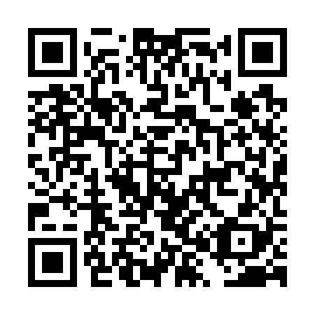 QR code for DX 9728