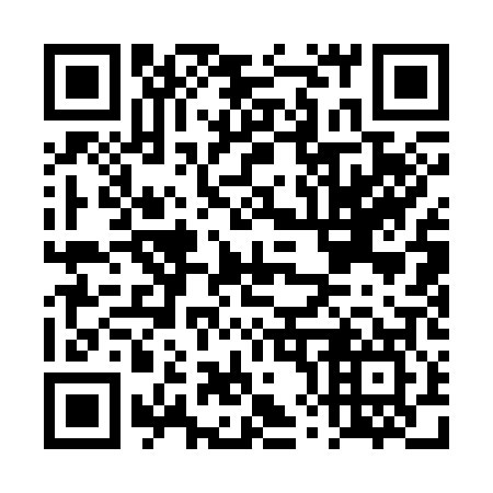 QR code for plate DX 1307